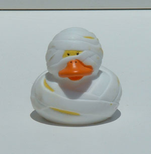 Mummy Duck