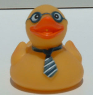 Nerd Duck