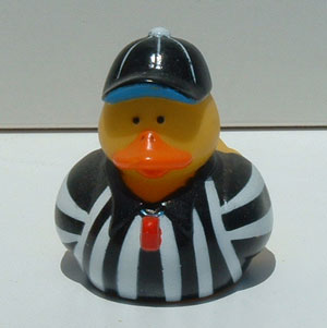 Zebra Duck