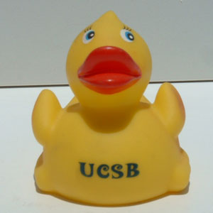 UCSB Duck